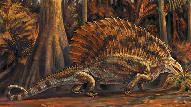 ABD´de 300 milyon yıllık otobur sürüngen fosili bulundu