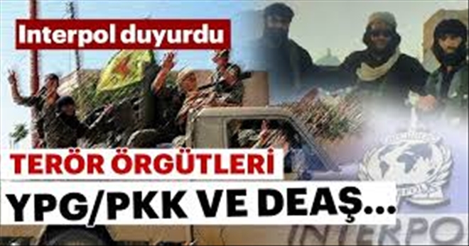 YPG/PYD/PKK´nın DEAŞ ile iş birliği INTERPOL raporunda