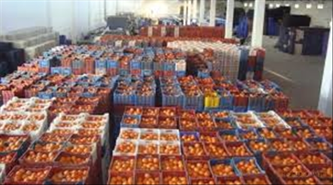 Ege yaş meyve sebze ihracatı 800 milyon doları aştı