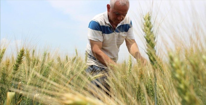 Erdoğan açıkladı: Çiftçilere 2 milyar 35 milyon destek verilecek