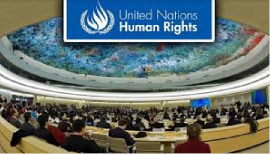 “İnsan hakları ihlalleri BM’de karar aşamasına getirilemiyor”