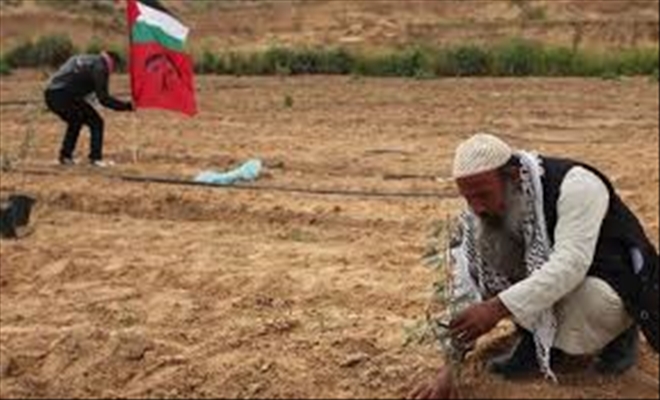 Filistin halkının direniş sembolü: Filistin Toprak Günü