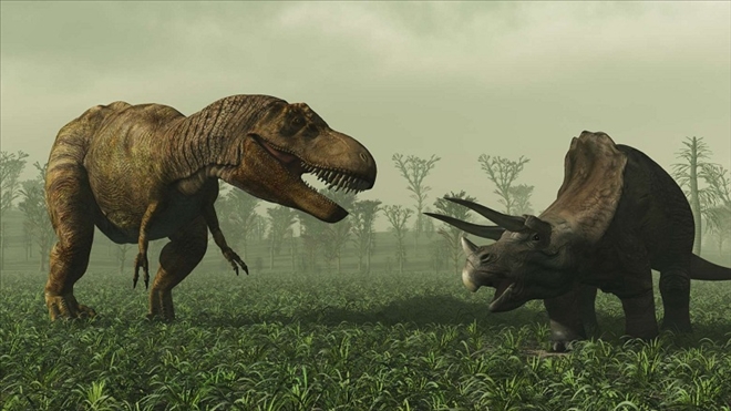 Dinozorların yok olduğu gün neler yaşandı?