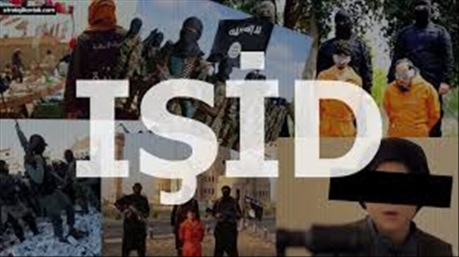 IŞİD lideri Bağdadi hala hayatta olsa da bu zavallı stratejist artık büyük bir tehdit arz etmeyebilir