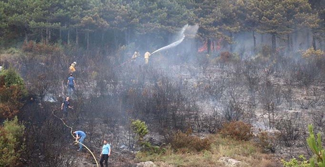 İstanbul Valiliği: Aydos´taki orman yangınını iki çocuk çıkardı