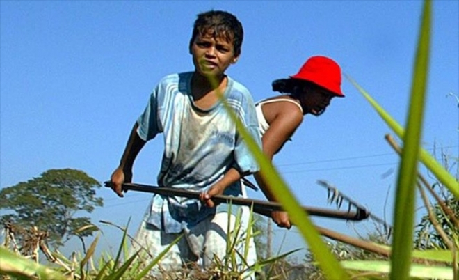 Dünya çocuk işçiliğini savunan devlet başkanını da gördü