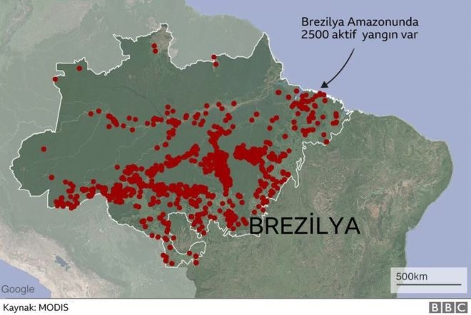 Amazon yangınları: Brezilya lideri Bolsonaro ´yaptırım´ çağrıları sonrası orduyu devreye sokuyor