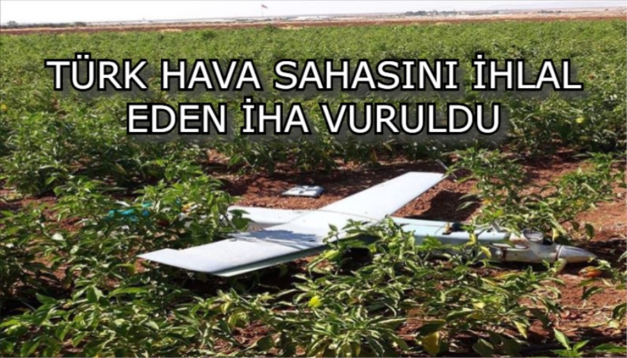 MSB: Türk Hava Sahasını 6 kez ihlal eden İHA vuruldu
