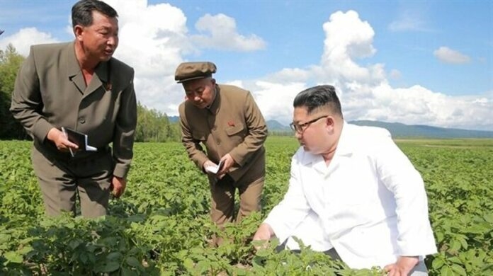 Devlet patatesi yeniden övmeye başladı; Kuzey Kore’de kriz var!