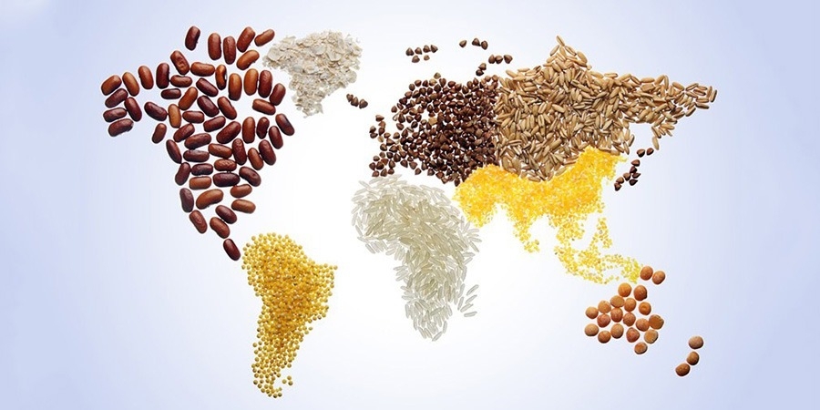 Küresel Gıda Güvenliği ve Mücadelede Öncelikler