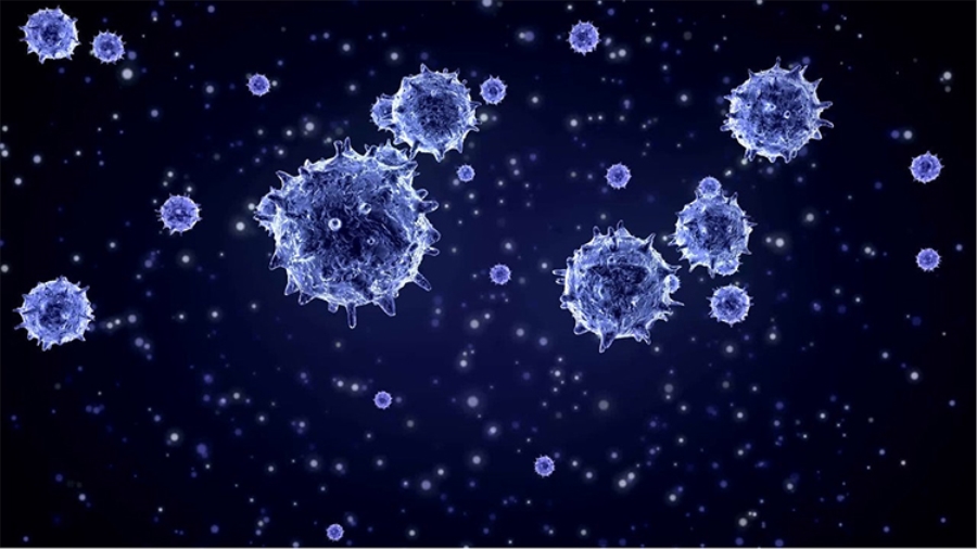 Koronavirüs Pandemisi: İnsanlığın Yeni Miladı