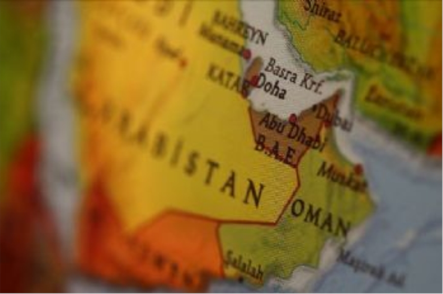 ‘Birleşik Arap Emirlikleri ülkemizde işkence yaptırıyor’