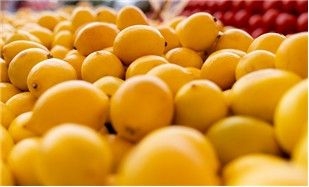 Limon ihracatı hakkında önemli karar! Resmi Gazete