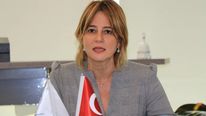 DEVA Partili Sanem Oktar’ın “Kimliğe atıf yapılmayacak” ifadesi “DEVA Anayasa’dan Türklüğü çıkaracak”a dönüştürüldü