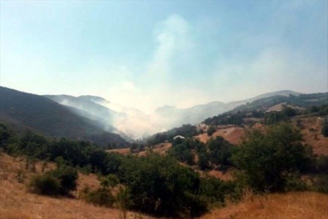 PKK´dan askere yangın tuzağı