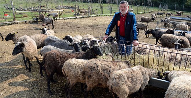 Hobi olarak başladı, şimdi dünyaya satıyor