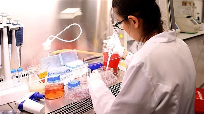 Kendi kendine oluşabilen DNA zincirleri geliştirildi