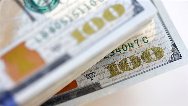 Dolar/TL rekor tazeledi