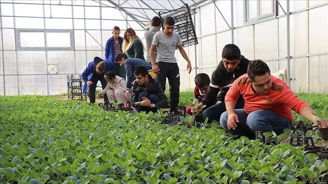 ´Sevgiyle büyüttükleri çiçekler´ kenti süslüyor