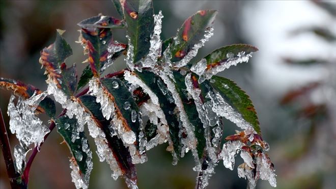 Meteorolojiden buzlanma ve don uyarısı