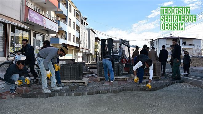 Lice Belediye Başkan Vekili Başak: Lice uyuşturucu ve terörle değil, tarımla anılacak