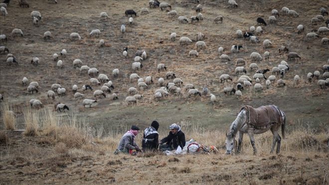 Doğu´da yayla hasreti sona eriyor