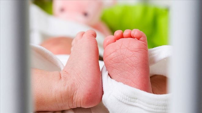 Korkunç iddiaya soruşturma kararı