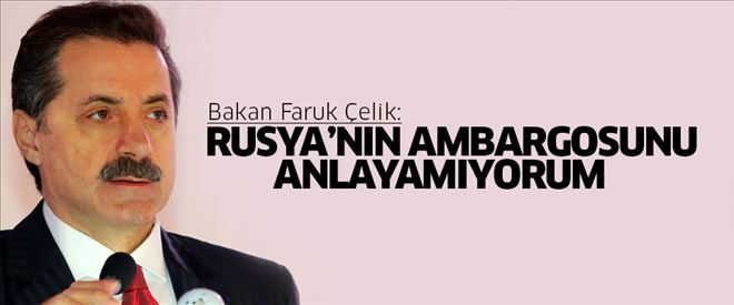 Bakan Çelik: Rusya´nın ambargosunu anlayamıyorum