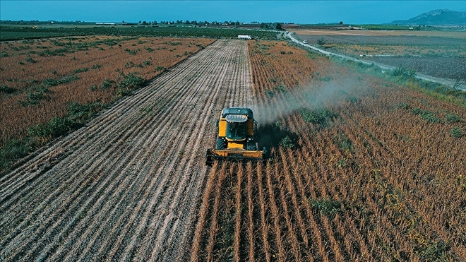 SOYA, VERİMİ VE FİYATIYLA ÇİFTÇİYİ SEVİNDİRDİ