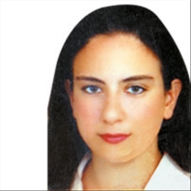 Türkiye´de İç Göçün Değişen Dinamikleri