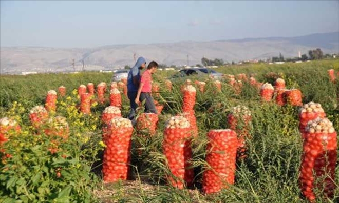 Tarımsal tükeniş