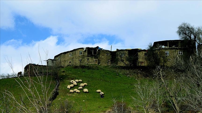 Dağlarında artık silah değil deklanşör sesi var