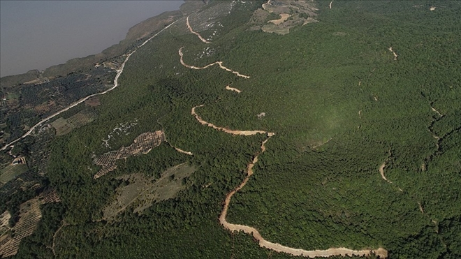 ´Defne yolu´ 3,8 milyon lira ek gelir getirecek