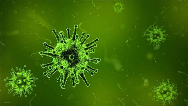 İNSÜLÜNE BENZER HORMONLAR ÜRETEN VİRÜSLER KEŞFEDİLDİ