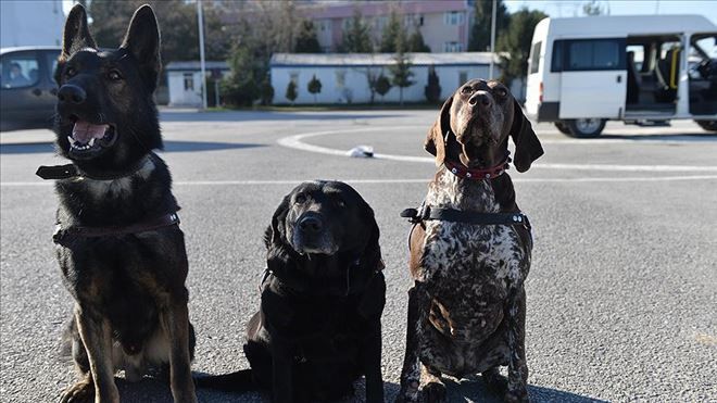 TERÖR VE UYUŞTURUCUYLA MÜCADELENİN ´KESKİN BURUNLARI´