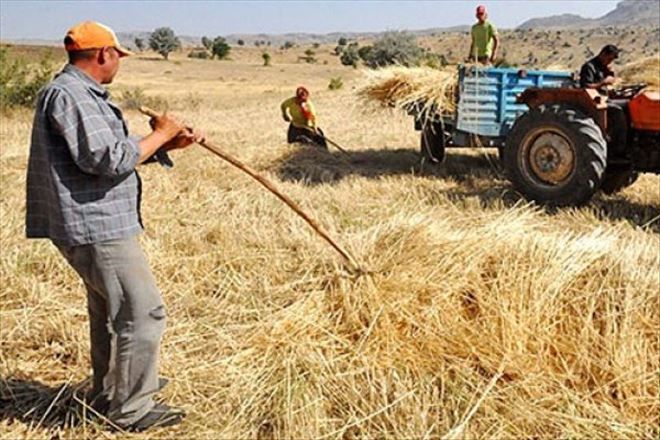 ÇİFTÇİLERE DESTEK ÖDEMELERİ BUGÜN BAŞLIYOR