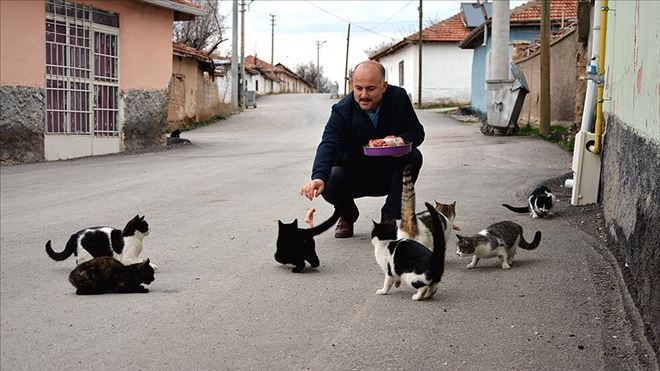 MAHALLENİN KEDİLERİ İMAMIN YOLUNU GÖZLÜYOR