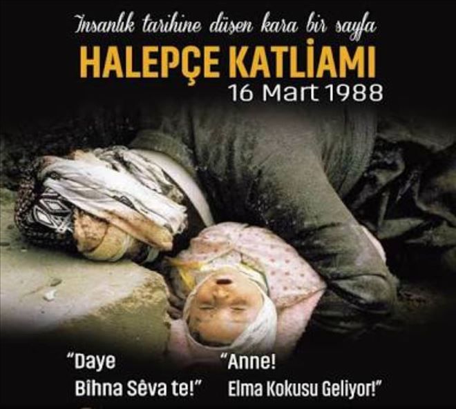 HALEPÇE: ELMA KOKUSUYLA GELEN KATLİAM