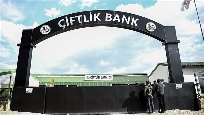 ÇİFTLİK BANK´IN YAZILIMCISI TUTUKLANDI