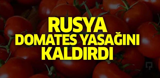 RUSYA´DAN TÜRK DOMATESİNE SINIRSIZ VİZE