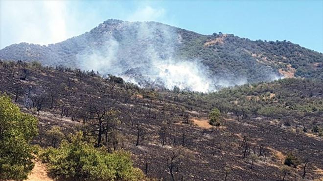 Dersim´deki orman yangını geniş bir alana yayıldı