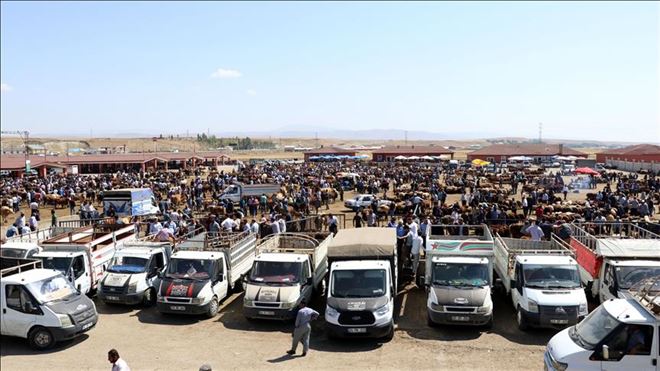 Doğu Anadolu´da kurban pazarlarında hareketlilik