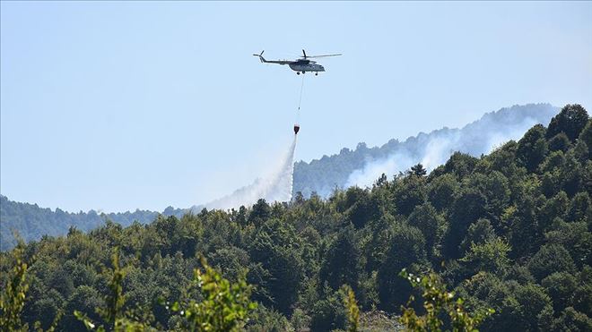 Kastamonu´da orman yangını