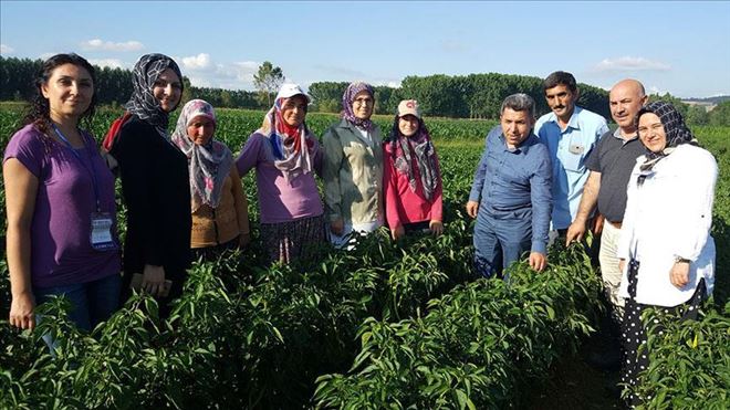 Sanayi kentinden yerli tohuma destek