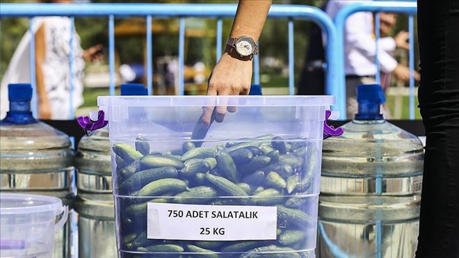 ?DÜNYANIN EN BÜYÜK TURŞU KURMA REKOR DENEMESİ´