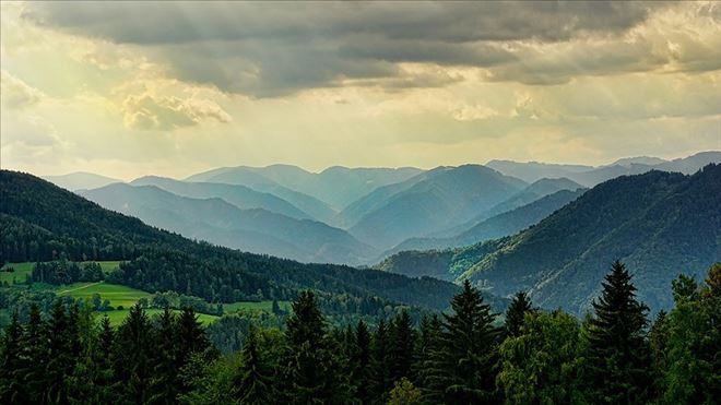 YENİ HARİTA ORMAN KAYIPLARININ NEDENİNİ ORTAYA KOYUYOR