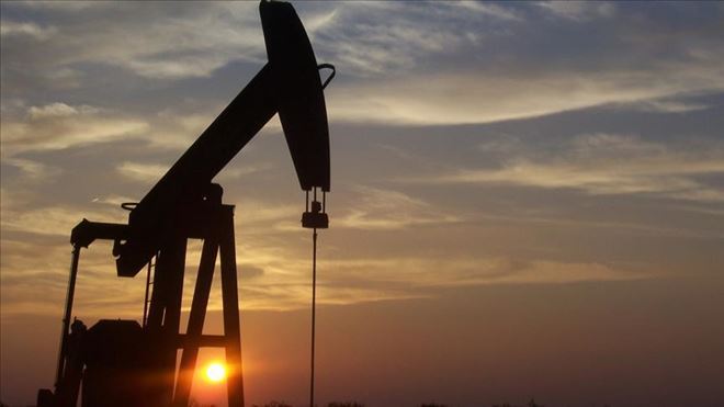 İRAN PETROLE KARŞI MAL ALACAK