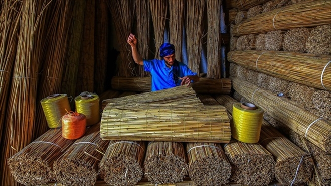 ´YILIN ÇEVRE FOTOĞRAFÇILARI´ ARASINA GİREN TÜRK FOTOĞRAFÇI