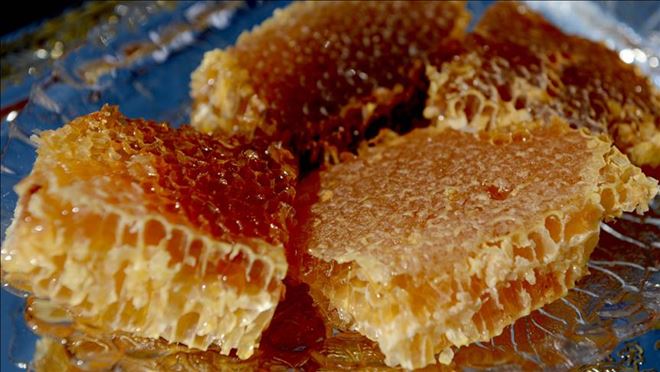 REKOLTE AZLIĞI BAL İHRACATINI OLUMSUZ ETKİLEDİ