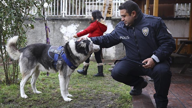 Sokak hayvanlarına sahip çıkan karakol